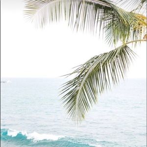 Meet your Posher, Allie